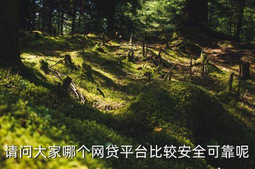 請(qǐng)問(wèn)大家哪個(gè)網(wǎng)貸平臺(tái)比較安全可靠呢