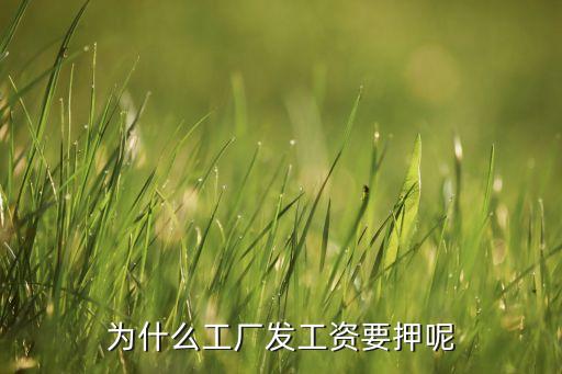 為什么工廠發(fā)工資要押呢