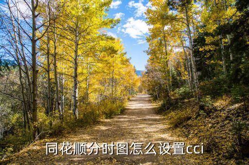 同花順怎么設(shè)置分時(shí)圖，同花順軟件如何讓分時(shí)圖全屏