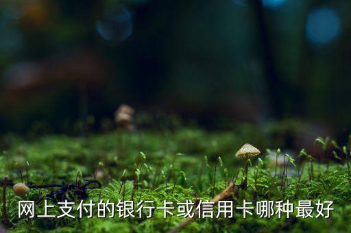 網上支付的銀行卡或信用卡哪種最好