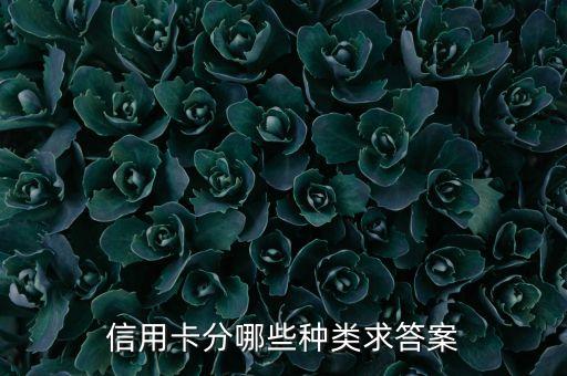信用卡分哪些種類(lèi)求答案