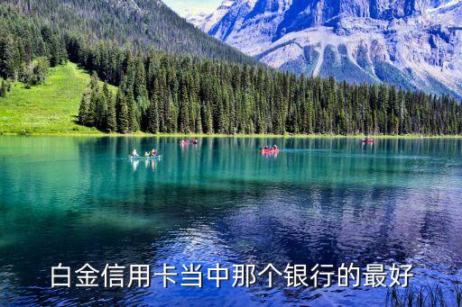 什么銀行白金卡好申請，白金信用卡當(dāng)中那個(gè)銀行的最好
