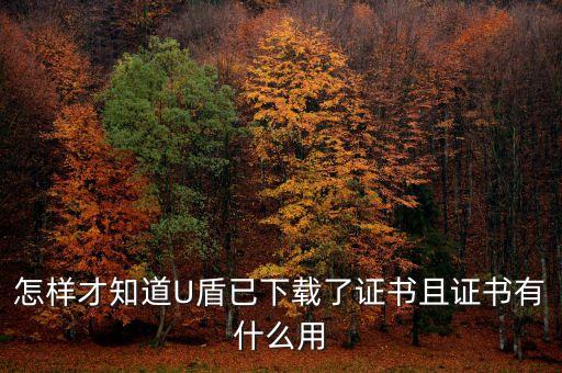 怎樣才知道U盾已下載了證書且證書有什么用