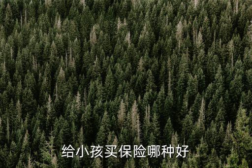 小孩子上什么保險好，小寶寶買什么保險好