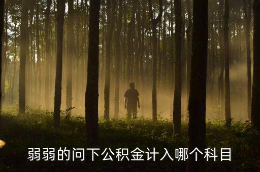 弱弱的問下公積金計入哪個科目