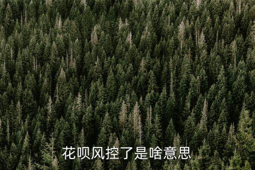 花唄風控了是啥意思