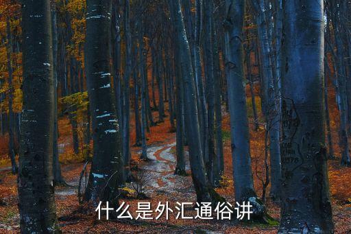 什么是外匯通俗講