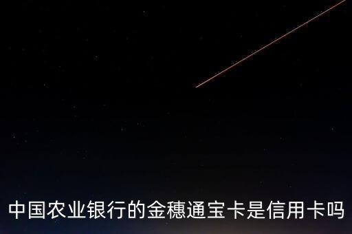 中國農(nóng)業(yè)銀行的金穗通寶卡是信用卡嗎