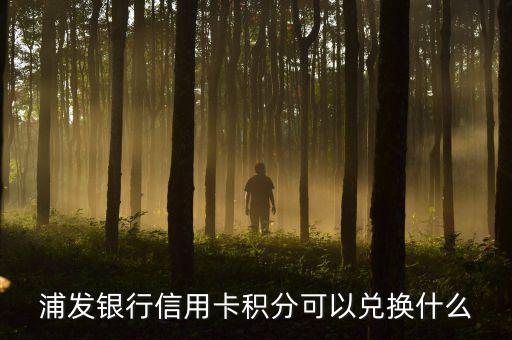 浦發(fā)銀行信用卡積分可以兌換什么