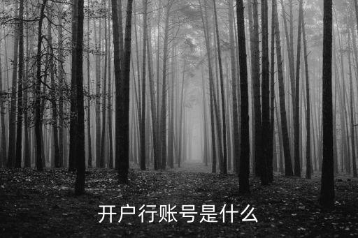 銀行注冊(cè)賬戶號(hào)是什么，開(kāi)戶行賬號(hào)是什么
