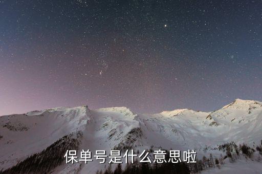 人壽保單號是什么意思，保單號是什么意思啦