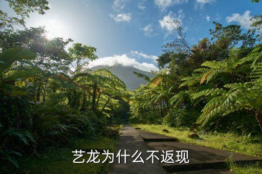 龍支付為什么沒(méi)返現(xiàn)，我用建行龍支付給朋友發(fā)了一個(gè)紅包朋友沒(méi)領(lǐng)我自己領(lǐng)了但是不知