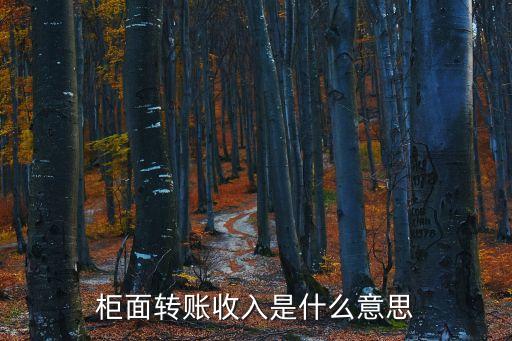 交行柜面轉入什么意思，銀行賬單中同城本行柜面轉入是在同城存的嗎