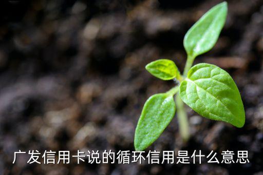 廣發(fā)信用卡說的循環(huán)信用是什么意思