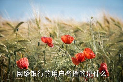什么是網(wǎng)銀用戶名和密碼是什么原因，網(wǎng)上銀行用戶名和登錄密碼是什么