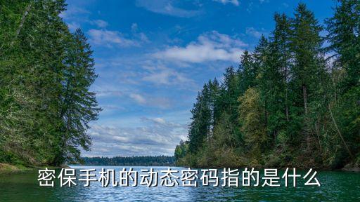 密保手機(jī)的動態(tài)密碼指的是什么