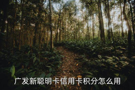 廣發(fā)新聰明卡信用卡積分怎么用
