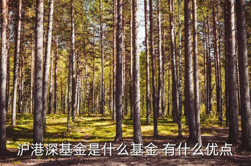 滬港深基金做什么，有人了解中歐電子信息產(chǎn)業(yè)滬港深基金嗎這只基金投什么股