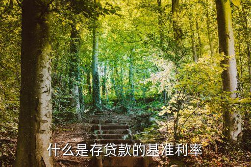 什么是存貸款的基準(zhǔn)利率