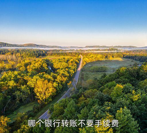 哪個(gè)銀行轉(zhuǎn)賬不要手續(xù)費(fèi)