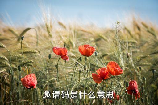 網(wǎng)利寶邀請碼是什么，如何獲得新浪理財邀請碼