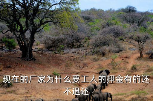 現(xiàn)在的廠家為什么要工人的押金有的還不退還