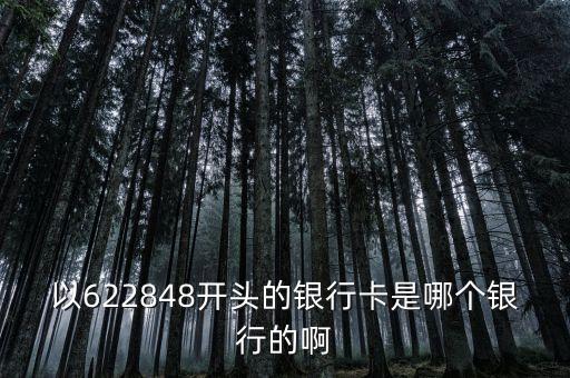 以622848開頭的銀行卡是哪個銀行的啊