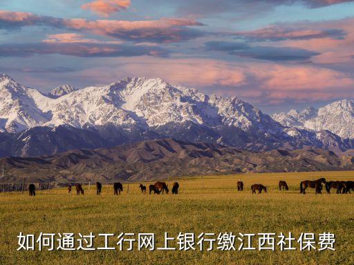如何通過工行網(wǎng)上銀行繳江西社保費(fèi)