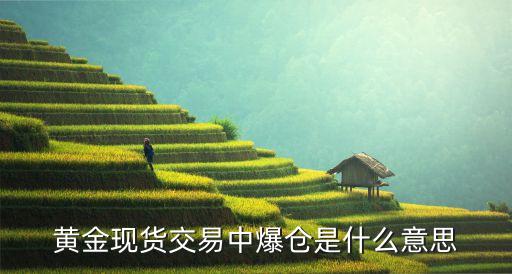 黃金現(xiàn)貨交易中爆倉是什么意思