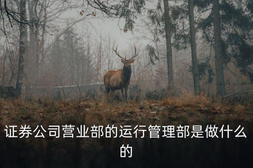 證券公司營業(yè)部的運行管理部是做什么的