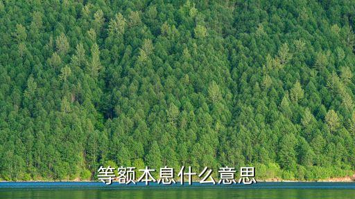 等額本息什么意思