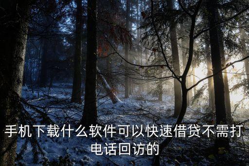 手機(jī)下載什么軟件可以快速借貸不需打電話回訪的