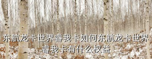 東航龍卡世界睿我卡如何東航龍卡世界睿我卡有什么權(quán)益