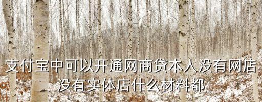 支付寶中可以開通網(wǎng)商貸本人沒有網(wǎng)店沒有實體店什么材料都