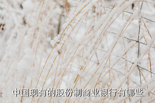 什么股份制商業(yè)銀行，什么是股份制商業(yè)銀行