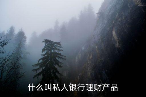 什么叫私人銀行理財(cái)產(chǎn)品