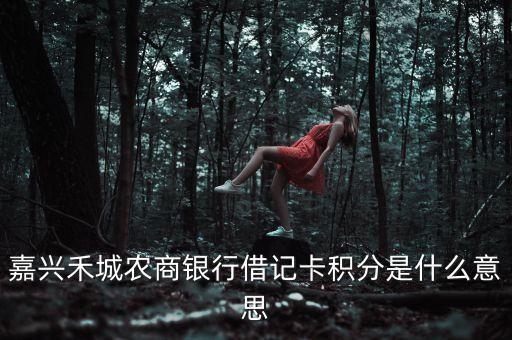 嘉興禾城農(nóng)商銀行借記卡積分是什么意思
