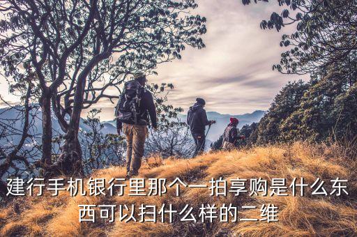 建行手機銀行里那個一拍享購是什么東西可以掃什么樣的二維