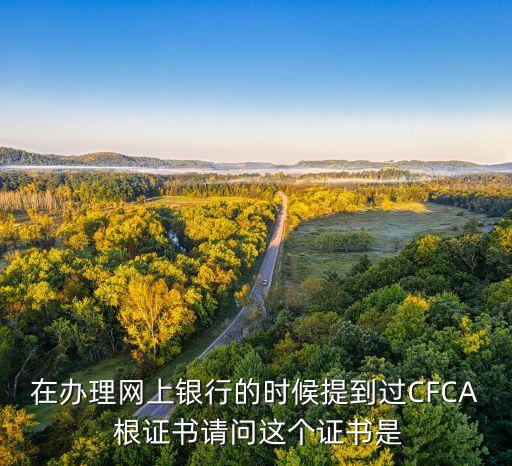 在辦理網(wǎng)上銀行的時(shí)候提到過(guò)CFCA 根證書(shū)請(qǐng)問(wèn)這個(gè)證書(shū)是