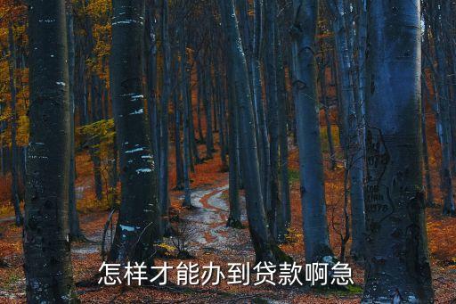 有什么辦法可以貸款，怎么才可以貸款呢