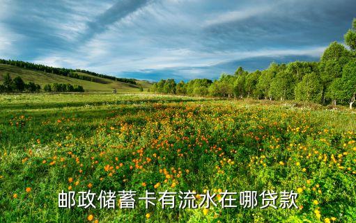 郵政儲蓄卡有流水在哪貸款