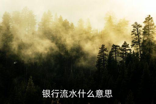 銀行流水能看到什么意思，辦信用卡時候看流水是什么意思了