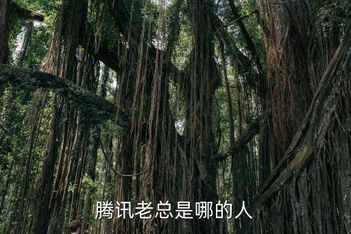 馬化騰什么時(shí)候死，騰訊老板是誰(shuí)