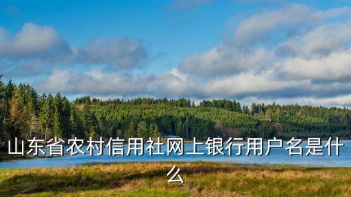 山東農(nóng)信用戶名是什么，山東省農(nóng)村信用社用戶名是什么