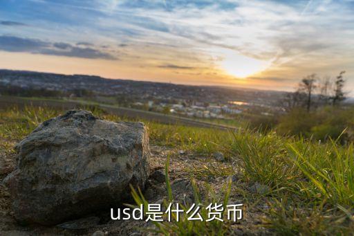 usd是什么貨幣