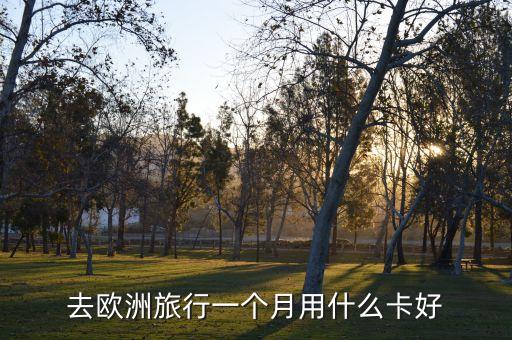 歐洲購物用什么信用卡嗎，去歐洲旅行一個月用什么卡好