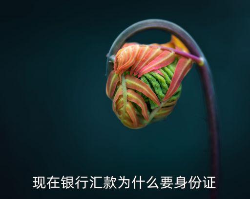 為什么轉(zhuǎn)賬要身份證號，為什么qq轉(zhuǎn)賬要實名認證
