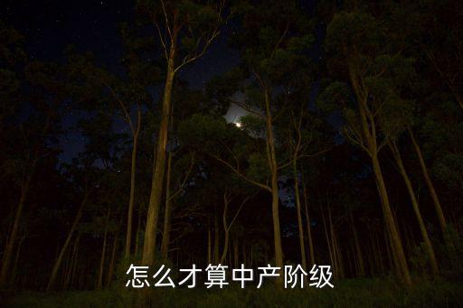 怎么才算中產(chǎn)階級