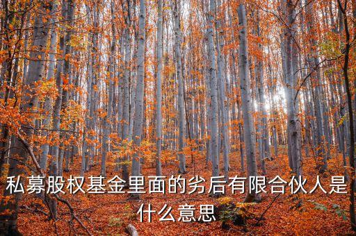 劣后資金是什么意思，眾星寶的劣后級是什么意思