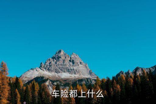 車險都要上什么東西嗎，車上保險一般都上那幾個具體說明下